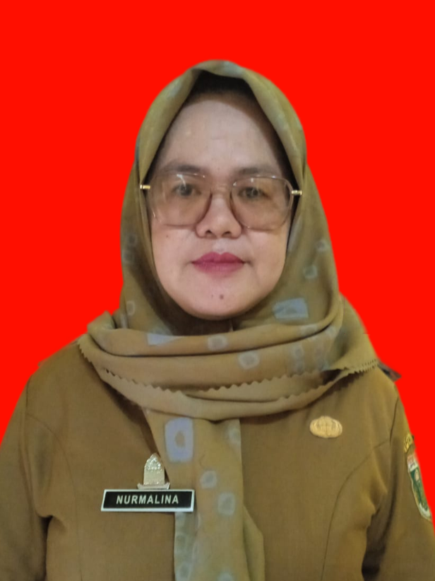 NURMALINA,SE